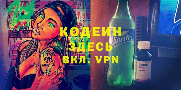 шишки Анива