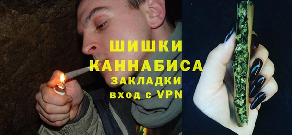 прущие грибы Сковородино