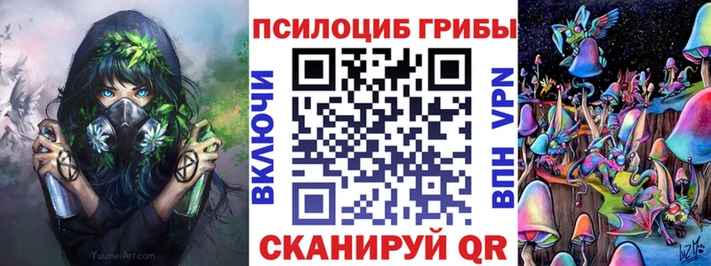 Псилоцибиновые грибы GOLDEN TEACHER  Берёзовка 